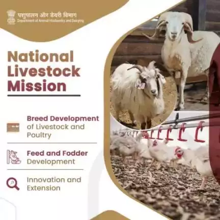 National Livestock Mission aims to generate employment and promote entrepreneurship in the livestock sector. The mission seeks to enhance per-animal productivity and increase production of meat, goat milk, eggs and wool.
#NLM #goatmilk