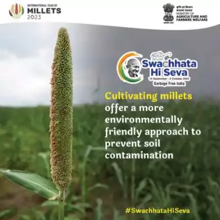 Millets help in rejuvenating soil biodiversity and soil health. Opt for these clean, climate-friendly grains today for your role in #SwachhBharat. 
#SwachtaHiSeva #GarbageFreeIndia