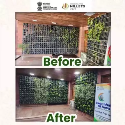 The vertical garden near Reception, Gate No. 1 of Krishi Bhawan, received a makeover with the addition of fresh potted plants as part of the #SwacchatHiSeva Campaign.

#agrigoi #SwachhataBhiSwasthyaBhi #garbagefree