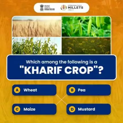 Come & join us for an exciting round of Agri Quiz! 
.
Which among the following is a Kharif Crop? Share your answer in comment section.
#agrigoi #agriculture #kharifcrop #wheat #pea  #maize #mustard #agriquiz