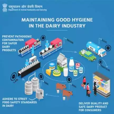 The quality of dairy products can be affected if proper hygienic measures are not taken in manufacturing and storage conditions.
#milkhygiene #AatmnirbharBharat #aatmnirbharahd #ahelp #animalhealth #livestock #animalhusbandry #Pashupalan