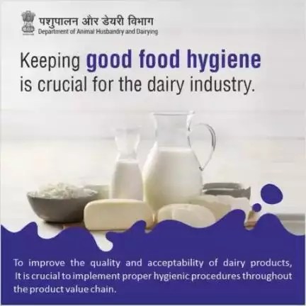 Improper hygiene practices while handling dairy products impact the quality and taste of these goods.
#milkhygiene #AatmnirbharBharat #aatmnirbharahd #ahelp #animalhealth #livestock #animalhusbandry #Pashupalan