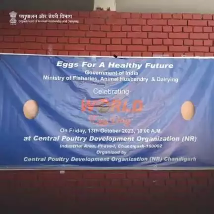 CPDO (NR), Chandigarh, Department of Animal Husbandry and Dairying (DAH&D), Government of India, celebrated "World Egg Day 2023" on October 13, 2023, at the premises of the Central Poultry Development Organisation in Chandigarh #worldeggday