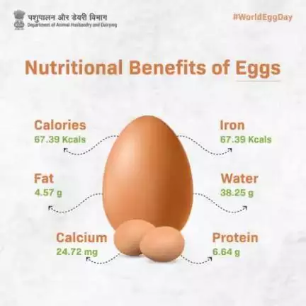 Eggs are a rich source of nutrients, and their nutritional composition can slightly vary based on factors such as the egg's size and the way it is prepared.
#WorldEggDay #Eggcellent #animalhusbandry