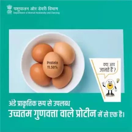 अंडे अमीनो एसिड्स, विटामिन डी, विटामिन बी-12, और अन्य पोषण तत्व प्रदान करते हैं। वे उच्च गुणवत्ता वाले प्रोटीन के साथ-साथ शारीरिक स्वास्थ्य को बनाए रखने के लिए भी फायदेमंद होते हैं।
#AatmnirbharBharat #animalhealth #livestock #eggcellent