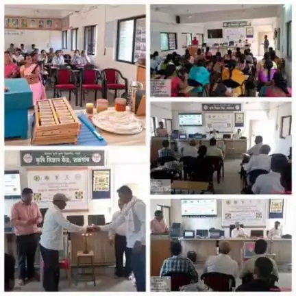 A seven-day training programme on the promotion of scientific beekeeping was organized from 12-18 October by KVK, Jalgaon under the National Beekeeping & Honey Mission.
#agrigoi #beekeeping #honeybee #NBHM