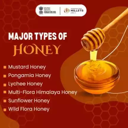 Honey is a sweet, natural substance made by bees from flower nectar. It's a versatile and healthy sweetener with numerous culinary and medicinal uses.

#agrigoi #honeybee #honey #pollination #apiculture #NBHM #beekeeping #honeycomb