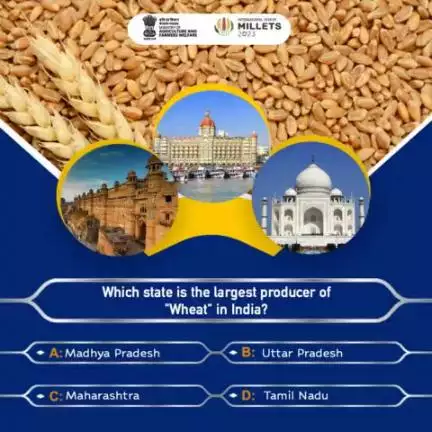 Come & join us for an exciting round of Agri Quiz! 
.
Which state is the largest producer of "Wheat" in India? Share your answer in comment section.
#agrigoi #agriculture #wheat #agriquiz