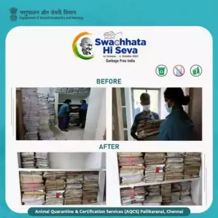 As a part of #SpecialCampaign 3.0, the Animal Quarantine & Certification Services (AQCS) in Pallikaranai, Chennai, in collaboration with #dept_of_ahd, organized a systematic file weeding-out and disposal initiative.
#SwachhBharat #GarbageFr