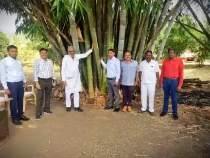 Dr. Prabhat Kumar, Director, National Bamboo Mission visited the tribal areas of Nandurbar district to explore possibilities of large-scale bamboo plantations through #MGNREGA in the community and individual forest rights lands.
#agrigoi