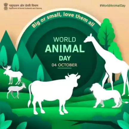 On World Animal Day, let's show our compassionate hearts and take care for the welfare of all creatures, great and small.
#WorldAnimalDay
#AatmnirbharBharat #aatmnirbharahd #ahelp #animalhealth #livestock #animalhusbandry