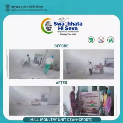 Cleanliness drive organized by Centre of Excellence for Animal Husbandry, Bangalore, DAH&D at Mill (POULTRY UNIT CEAH- CPDOTI) under the Special Campaign 3.0.
#SwachhBharat #GarbageFreeIndia #SHS2023 #animalhusbandry