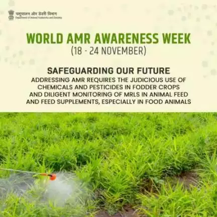 Safeguarding our future: Ensuring responsible use of chemicals in fodder crops and vigilant monitoring of MRLs in animal feed, with a focus on food animals to combat AMR.
#AMRAwareness #AntibioticResistance #Animalhusbandry