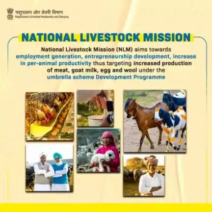 NLM's Focused Agenda: Elevating Livestock Productivity, Ensuring Health and Genetic Excellence, and #EmpoweringFarmers—Towards a Sustainable and Prosperous #Livestock Sector.