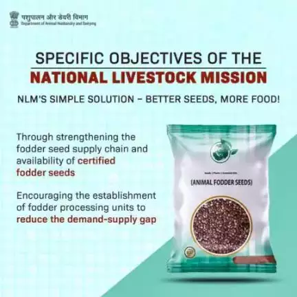 Strengthening Livestock Nutrition: NLM's mission is to boost fodder availability and feed supply by enhancing the #fodder seed supply chain and ensuring access to certified fodder seeds. #livestock #PashuPalak #nutrition