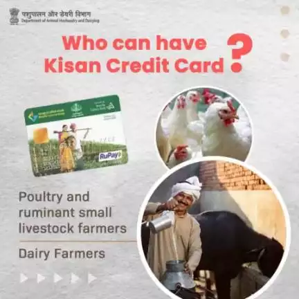 Dairy farmers as well as small livestock farmers who have poultry and other small livestock animals can apply for Kisan Credit Card.
#KisanCreditCard #aatmanirbharkisan #animalhusbandry #kcc