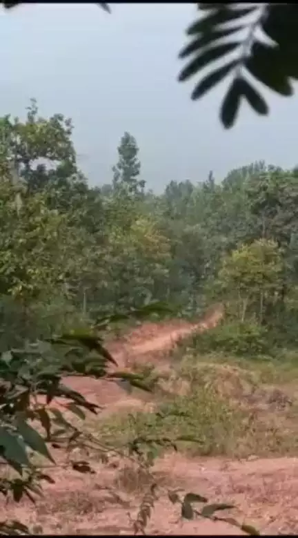आज दि- 02.12.23 को गोईलकेरा थाना क्षेत्र के मारादिरी के आस-पास जंगली/पहाड़ी क्षेत्र में चाईबासा पुलिस, CoBRA, CRPF एवं जे.जे. के द्वारा संचालित संयुक्त अभियान के दौरान 8KG का 01 IED को बरामद कर यथास्थान विनष्ट किया गया।