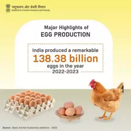 India has achieved a remarkable milestone in egg production! With an astonishing total of 138.38 billion eggs produced during 2022 - 23, the Nation's prowess in meeting global demands is truly commendable. #eggproduction  #AtmanirbharBharat