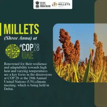 The International Year of Millet 2023 gains traction at CoP28, emphasizing Millets' significance in fostering climate-resilient agriculture.
#COP28UAE #IYM2023 #ShreeAnna #yearofmillets