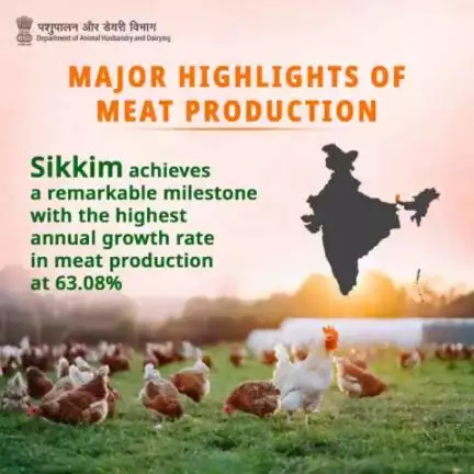 Sikkim sets a remarkable record in meat production! Achieving an astounding annual growth rate of 63.08%, the state stands as a beacon of success in the meat industry.
#SikkimMeatProduction #meatindustry #atmanirbharpashupalak