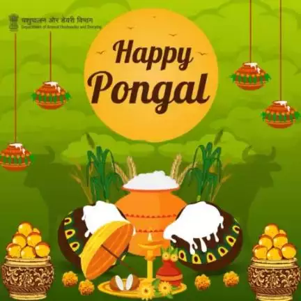 May the #harvest season bring endless opportunities and success into your life.
Happy Pongal! #Pongal2024