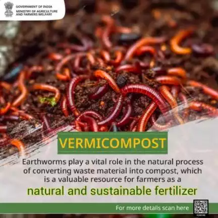 Vermicompost, a nutrient-packed gift from worms, enhances soil fertility, improves water retention, and fortifies crops, offering farmers an eco-friendly path to bountiful harvests.

#agrigoi #organicfarming #Vermicompost