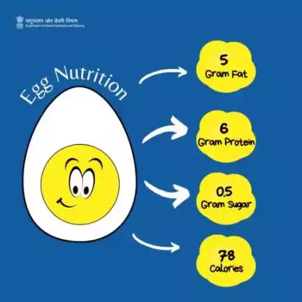 Power-packed with 6g protein, 5g healthy fats, and a deal at just 78 calories!
#eggs #eggnutritionfacts