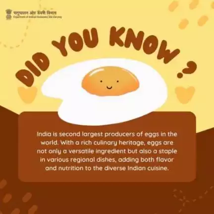 A global egg powerhouse!
 From curries to desserts, #eggs weave flavor and #nutrition into the vibrant tapestry of #Indiancuisine.