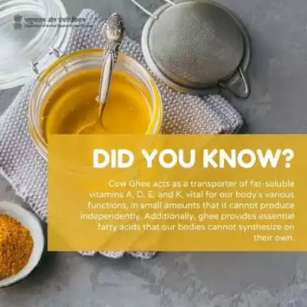 Unveil the richness within! Ghee, a concentrated elixir, brings forth a treasure trove of fat-soluble vitamins—A, D, E, and K. Each spoonful is a symphony of essential nutrients, nurturing your well-being from within.
#ghee #gheenutrition