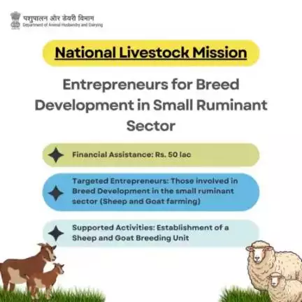 Bolstering small ruminant farming! 

National Livestock Mission 

Rs. 50 lakh aid for Sheep and Goat Breeding Unit.
hashtag#SmallRuminantFarming #Goat farming