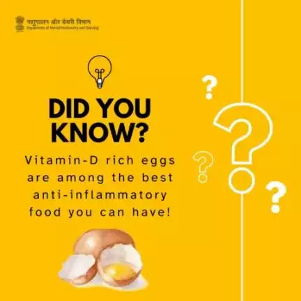 Did You Know? 
Vitamin D-Rich Eggs:  A Top Anti-Inflammatory Food Choice.#eggs