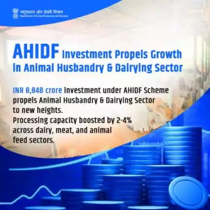 The AHIDF Scheme creating an impact, propelling the livestock sector forward and ensuring a brighter, more efficient future for animal husbandry. #AtmanirbharBharat #AHIDF #dairyproduction #meatproduction #poultry