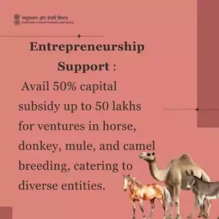 Empowering Livestock Entrepreneurs:
A 50% Capital Subsidy Boosts Breeding Ventures in Equine and Camelid Species under the #National_Livestock_Mission.
#breeding