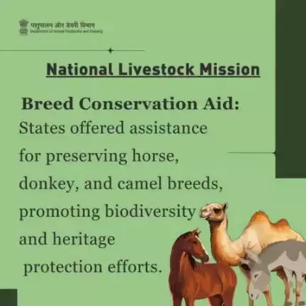 Preserving Livestock Heritage:
State Assistance Promotes Breed Conservation for Horse, Donkey, and Camel under the #national_livestock_mission