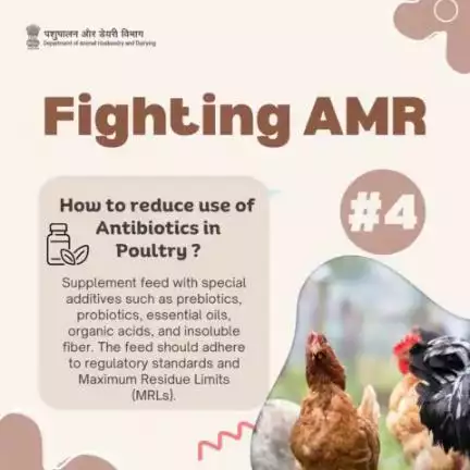 Boosting Gut Health: 
Poultry Feed Additives Promote Beneficial Bacteria, Antibacterial Properties, and Vital Intestinal Wellness!
#antimicrobialresistanceawareness #poultry #livestockcare