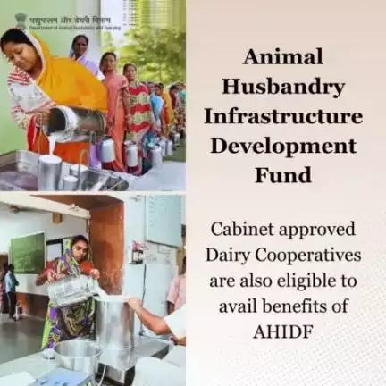 Dairy cooperatives are now eligible to apply for benefits under AHIDF, allowing them to access support for the modernization and strengthening of their dairy plants. #dairy #AHIDF # atmanirbharbharat