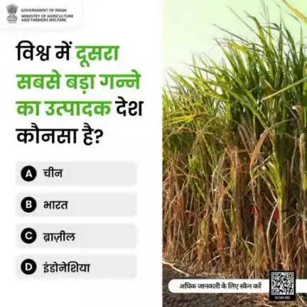 कृषि क्विज में हिस्सा लें व परखें अपना ज्ञान! 
. 
विश्व में दूसरा सबसे बड़ा गन्ना उत्पादक देश कौन सा है? कृपया कमेंट में अपना जवाब साझा करें।

#agrigoi #sugarcane #agriculture #agriquiz