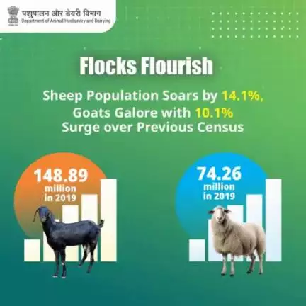 Significant Growth in Livestock Population: Sheep and Goat Numbers Surge in 2019 Census. #LivestockCensus