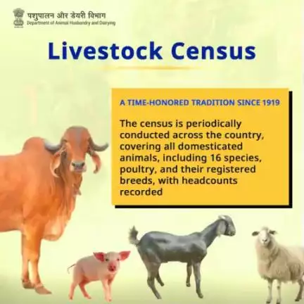 The periodic census is conducted nationwide, encompassing all domesticated #animals, which comprises 16 species, #poultry, and their registered #breeds. Headcounts are meticulously recorded during this comprehensive survey.