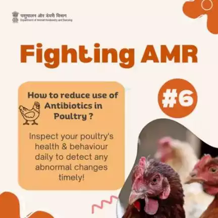 Vigilance Saves Lives:
 Regular Monitoring and Prompt Disposal of Deceased Birds Crucial in Preventing Viral Spread Among Poultry!
#antimicrobialresistanceawareness #poultry #livestockcare