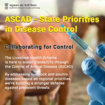 Uniting for Livestock Health: 
ASCAD and Livestock Health Scheme Spearhead Regional Defense. #livestockhealth #animalcare #vaccination