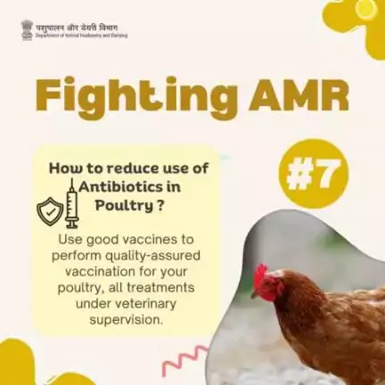 Protecting the Flock: 
Adhering to Manufacturer's Guidelines for Vaccine Storage, Handling, and Application in Poultry Health Management!
#antimicrobialresistanceawareness #poultry #livestockcare