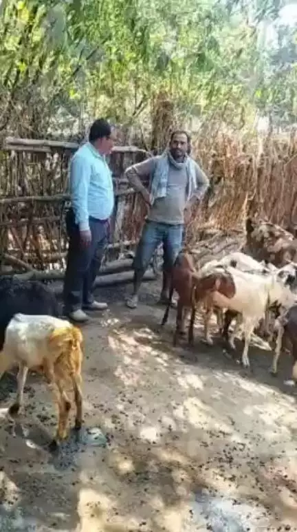 नवीन कुमार कुशवाहा-व्यवसायिक बकरी पालन